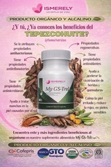 Ismerely My GS-Trel Suplemento para la GASTRITIS Estomago 60 capsulas Pack of 1