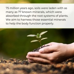 Plant Derived Liquid Minerals – 77+ Natural Unaltered trace minerals – 19,000…