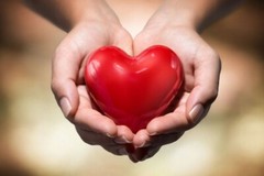 cardiovascular health – Hawthorn Extract 665mg – with Garlic and Cayenne 2B