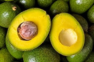 Indonesian Fresh Avocado