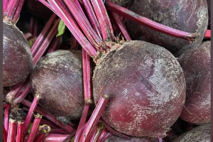 Indonesian Fresh Beetroot