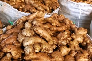 Fresh Ginger