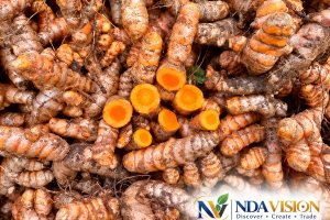 Fresh Turmeric