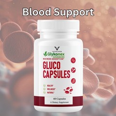 (3 Pack) GlykoNex Pro Daily Wellness Support, GlykoNex Supplement 60 Caps