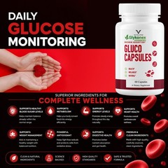 (3 Pack) GlykoNex Pro Daily Wellness Support, GlykoNex Supplement 60 Caps