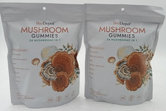 BioDepot Mushroom Gummies 60 ct – 24 Mushrooms in 1 Exp 10/2027 Lot of 2