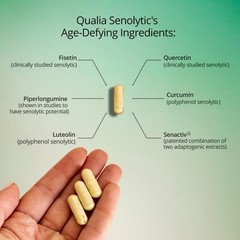 Senolytic Supplement, Fisetin, Quercetin, Piperlongumin & More, Aging Supplem…