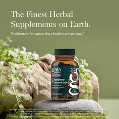 Gaia Herbs Cranberry Concentrate – Traditionally for Helping to Maintain Uri…