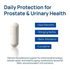 Selerb NAD+ Supplement for Men-With Liposomal-NAD+,CoQ10, L-Carnitine, L-Arginin