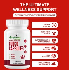 (3 Pack) GlykoNex Pro Daily Wellness Support, GlykoNex Supplement 60 Caps