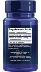 Life Extension (CDP-Choline) Brain Support – 60 Vegetarian Capsules – Pack of 2