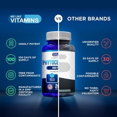 We Like Vitamins Phytoceramides 700mg – 200 Capsules 200 Count (Pack of 1)