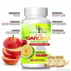 6 X GARCINIA CAMBOGIA HCA 95% & APPLE CIDER VINEGAR 3000mg Daily For Weight Loss