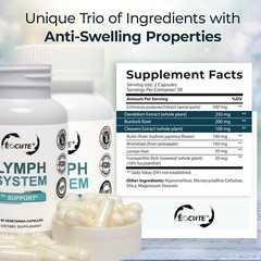 Lymph System Support Supplement with Extract Echinacea Purpurea Dandelion US
