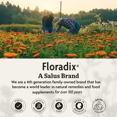 Floradix Iron Sport Liquid Mineral & Vitamin 8.5 Fl Oz (Pack of 1), No Color