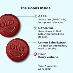 Stress Relief Supplements GABA L-Theanine Lemon Balm Gummy GABA Supplements