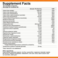 Multivitamin with Probiotics & Minerals Daily Energy Gut Immune Support 120p