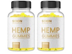 Scion Gummy Vitamins For Adult Joint Health -Raspberry Flavor 30 Servings 2 Pack