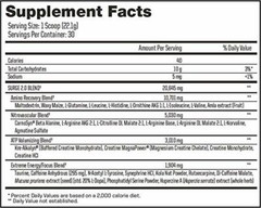 ANS | SURGE 2.0 – Pre-Workout Energy Powder, Pineapple, 663g Bottle (Pack of 6)