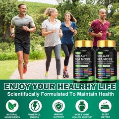 Sea Moss, Black Seed Oil, Ashwagandha, Turmeric Ginger Shilajit Burdock 60 caps