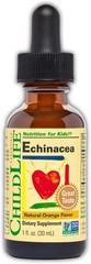 ChildLife Echinacea Natural Orange 1 fl. oz Each (Pack of 4)