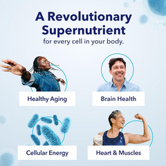 Tru Niagen 300mg NAD+ Supplement – Cellular Energy & Healthy Aging – 90ct