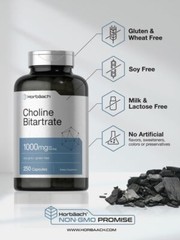 Choline Bitartrate | 1000mg | 250 Capsules | Non-GMO | by Horbaach