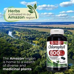 Lab – Chlorophyll – pure – 800 mg per serving- 200 Softgels – chlorophyll capsul