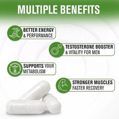 Natural Slim Testosterin Men’s Multivitamins Booster 180 Capsules ( Pack of 2 )