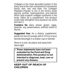 Holly Hill Health Foods Collagen Peptides,20 Grams Type 1 & 3,Chocolate,13.33 Oz