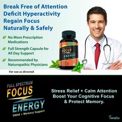 Theanine Focus Memory Support | Best Supplement Capsule Pill Men Women FREE SHIP