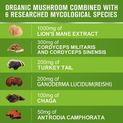 1000Mg Organic Lions Mane Mushroom Nootropic Brain Memory Focus Immune Support