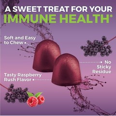 Viva Naturals Black Elderberry Vitamin C and 120 Count (Pack of 1), No Color