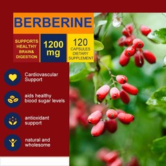 Premium Berberine HCL Extract 1200mg Healthy Cholesterol Anti-inflammatory