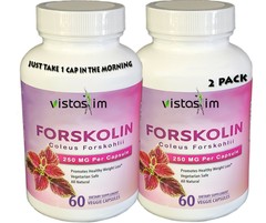 Lot of 2 FORSKOLIN EXTRACT FOR WEIGHT LOSS by VistaSlim. Extreme KETO Boost Comp