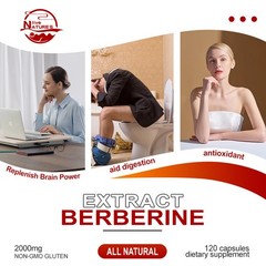 Premium Berberine HCL Extract 1200mg Healthy Cholesterol Anti-inflammatory
