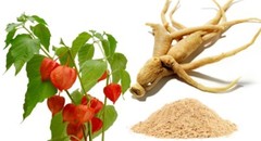 reduce stress – ASHWAGANDHA ROOT COMPLEX 770mg – neuroprotective herbs 1B