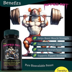 Ripped Rat | Best Vitamin Supplements for Men Over 50 | Free Shipping* Same Day