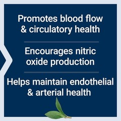 NitroVasc Boost – Gluten-Free, Vegetarian Blood Flow Supplement, 1 Scoop Formula