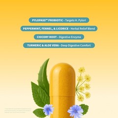 Snap Gut Health Capsules Turmeric Aloe Pylopass Probiotics 15 Active Ingredients