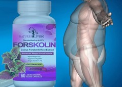 Lot of 2 FORSKOLIN EXTRACT FOR WEIGHT LOSS by VistaSlim. Extreme KETO Boost Comp
