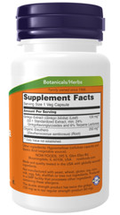 NOW FOODS Ginkgo Biloba Double Strength 120 mg 200 Veg Capsules Exp 2027