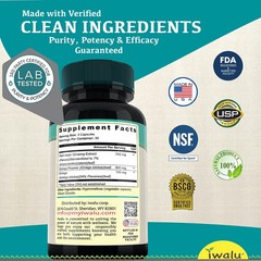 Ginkgo Ginkgo Biloba | Best Supplement Capsule Pill Men Women FREE SHIP
