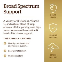 Solgar B-Complex with Vitamin C 250 Count (Pack of 1), Standard Packaging