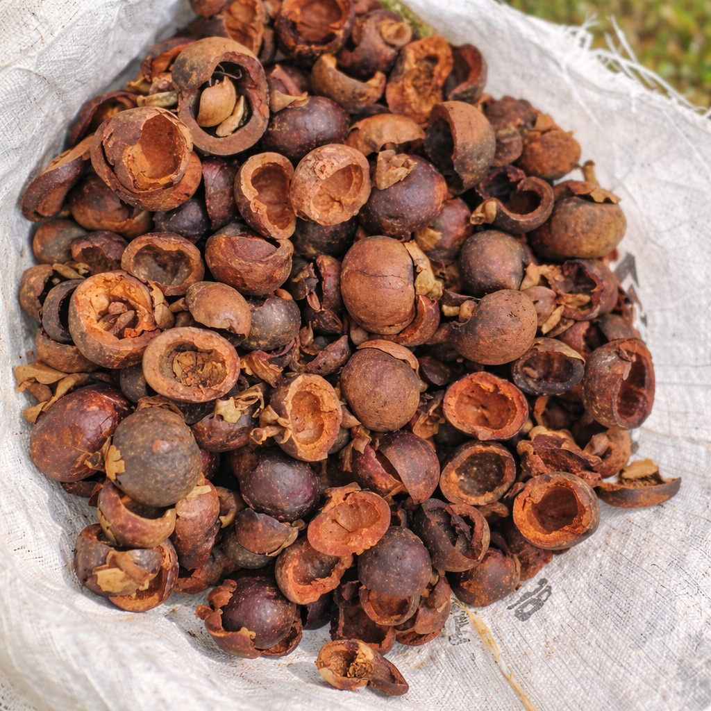 Dried-Mangosteen-Peel Dried-Mangosteen-Peel