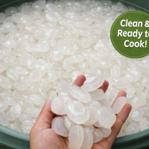 sugar palm fruit (clean kolang kaling) – premium quality