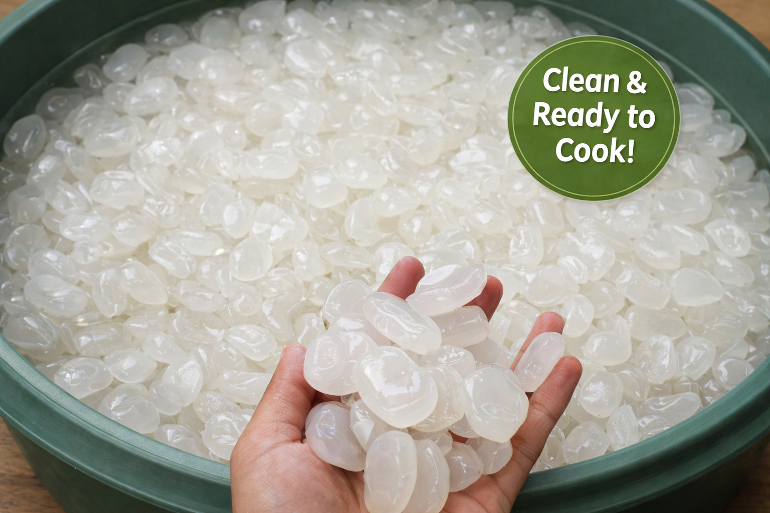 sugar palm fruit (clean kolang kaling) – premium quality sugar palm fruit (clean kolang kaling) – premium quality