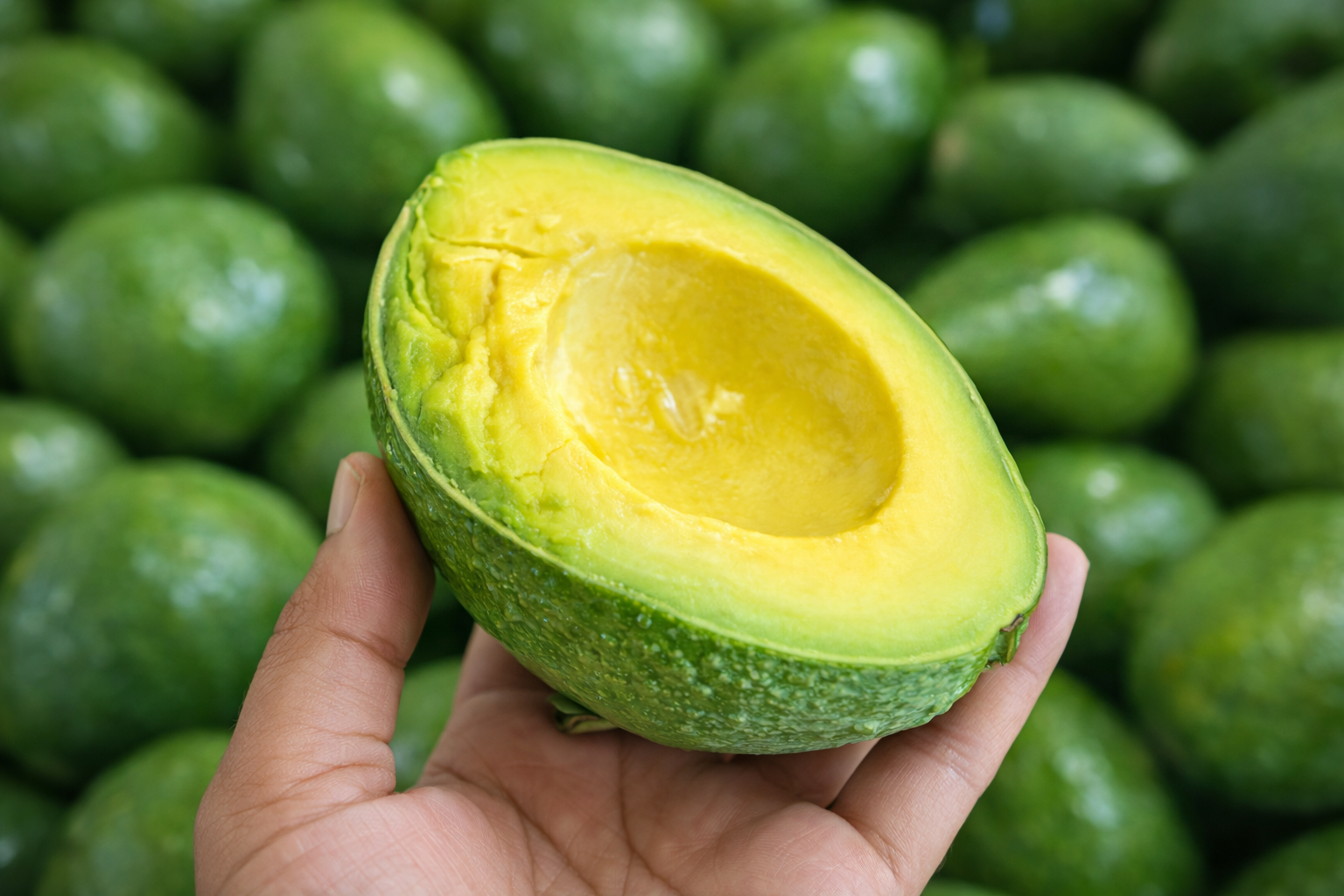 premium super avocado – selected grade premium super avocado – selected grade