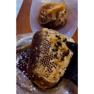 Home raw natural honeycomb – 100% pure fresh forest honeycomb