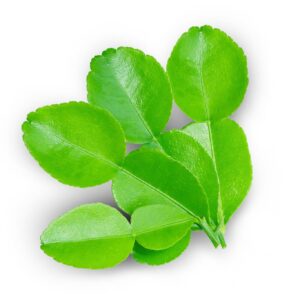 kaffir lime leaves thumbnail